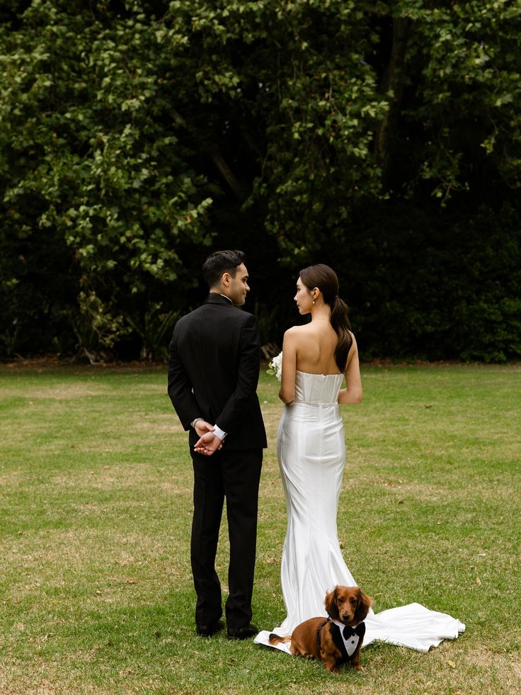 Bride and groom in wedding attire watching their long-haired dachshund in a tuxedo harness at an outdoor Melbourne ceremony